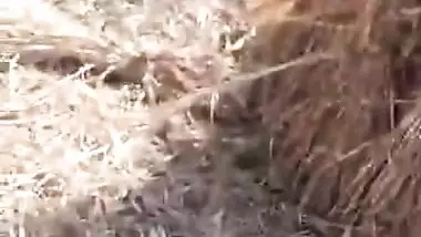 Desi village randi caught fucking